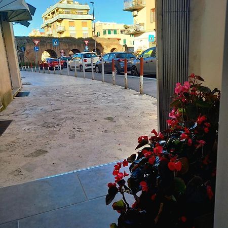 Casa Delle Begonie Apartment Roma Ngoại thất bức ảnh