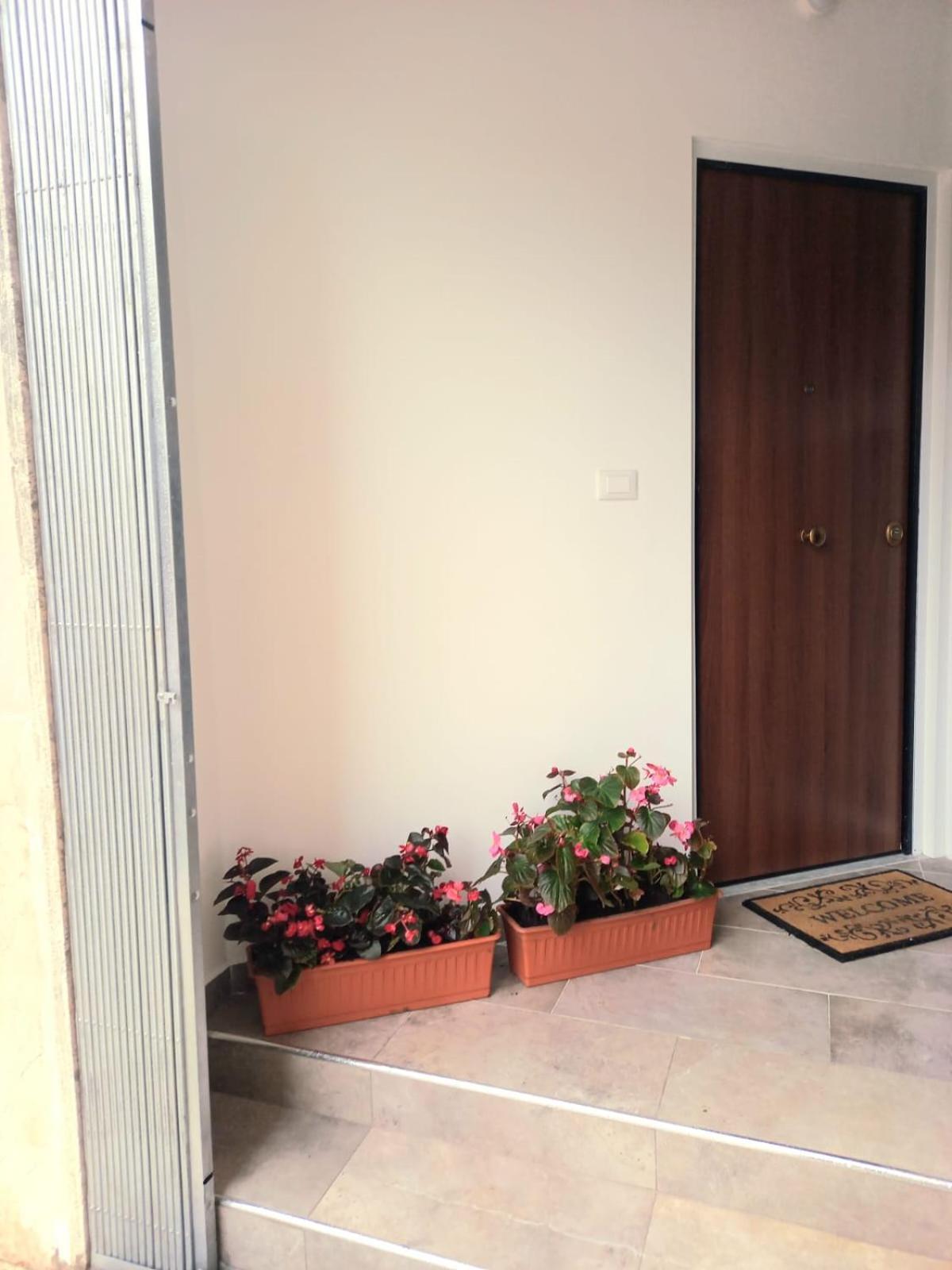 Casa Delle Begonie Apartment Roma Ngoại thất bức ảnh