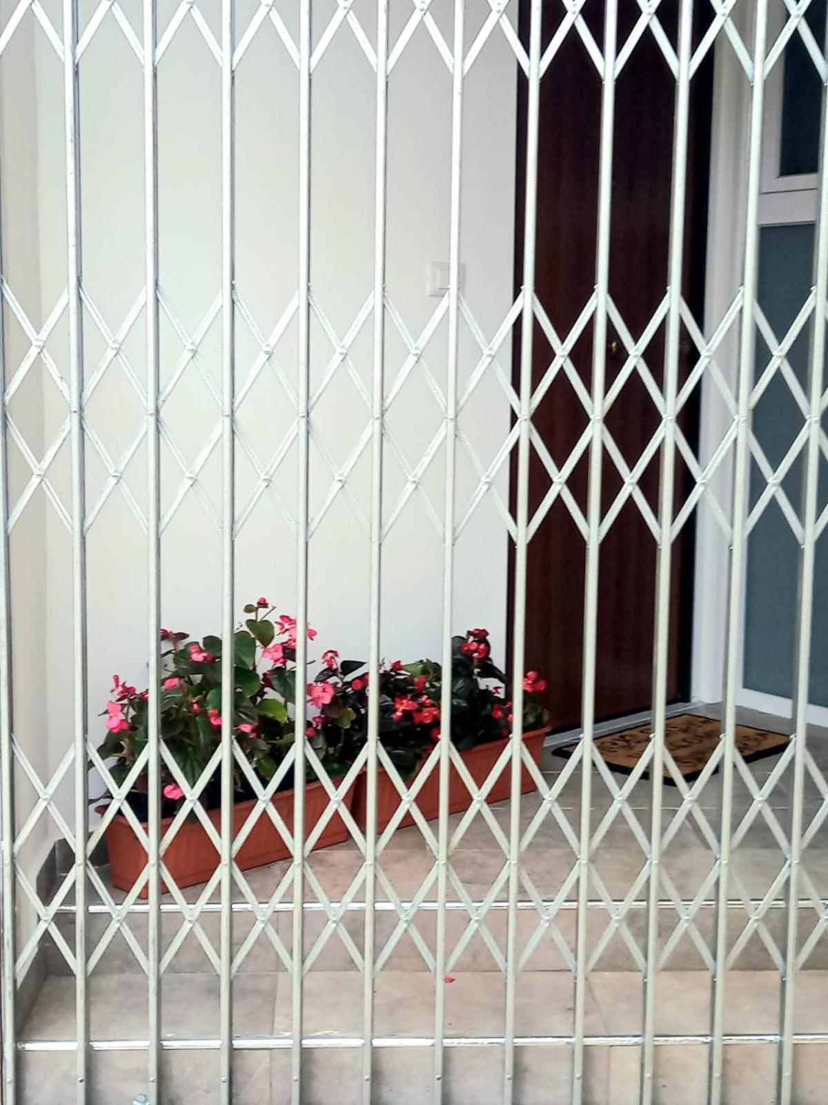 Casa Delle Begonie Apartment Roma Ngoại thất bức ảnh