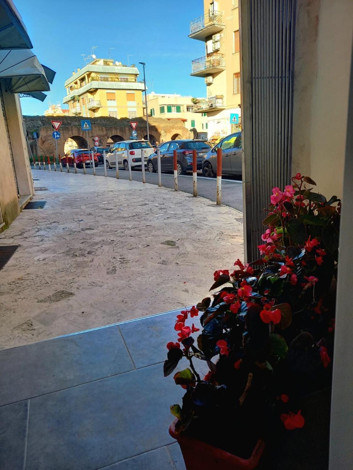 Casa Delle Begonie Apartment Roma Ngoại thất bức ảnh